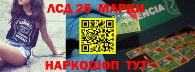 амф Гатчина