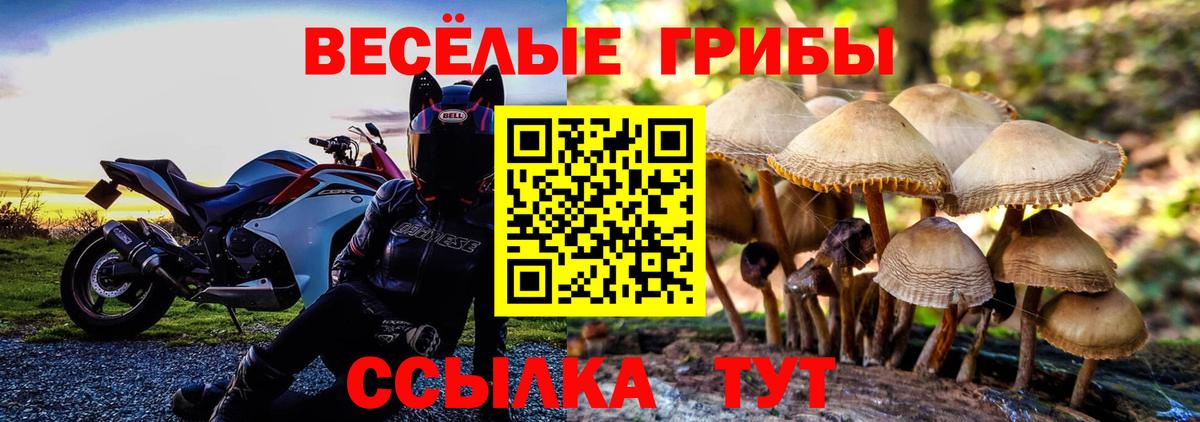Люберцы  Галлюциногенные грибы Magic Shrooms  Вход с VPN 