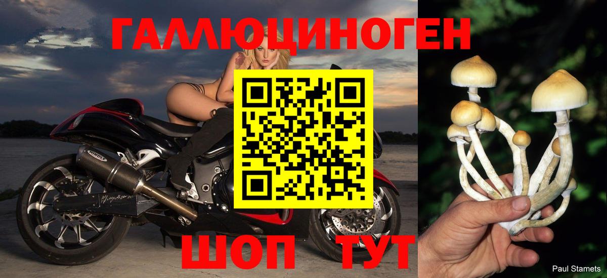 Псилоцибиновые грибы мухоморы Люберцы